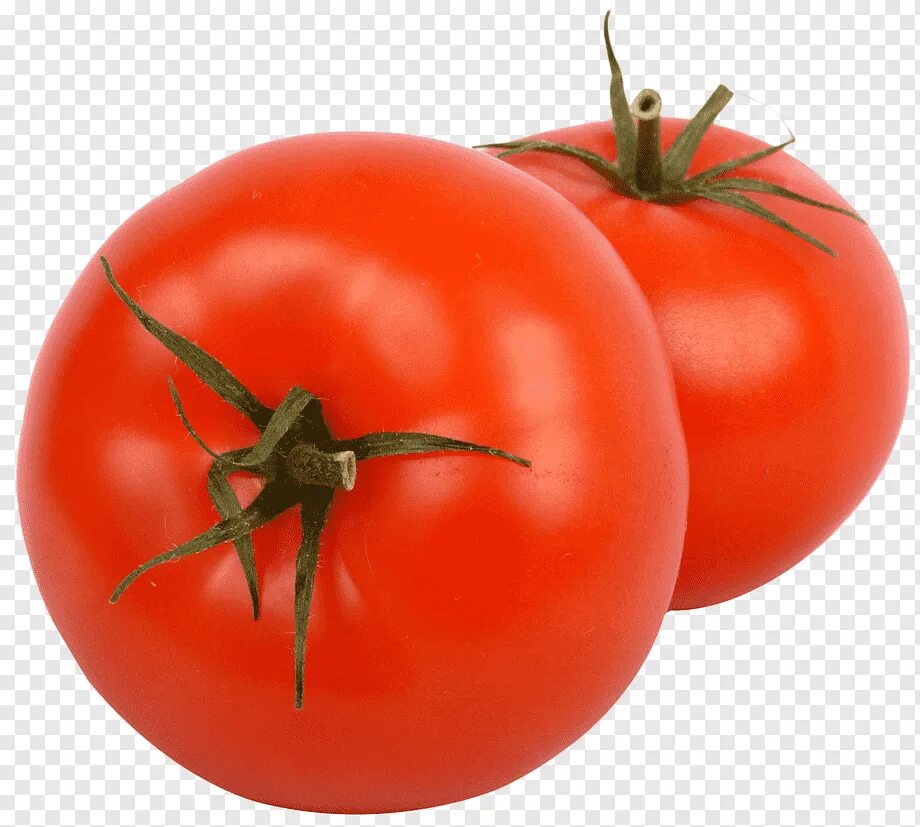 Two tomatoes. Помидор. Помидор один. Помидор картинка. Помидор клипарт на прозрачном фоне.