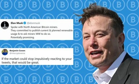 Musk загадка 30.08