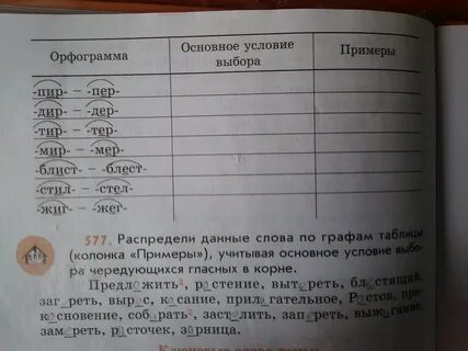 Распределите слова по столбцам