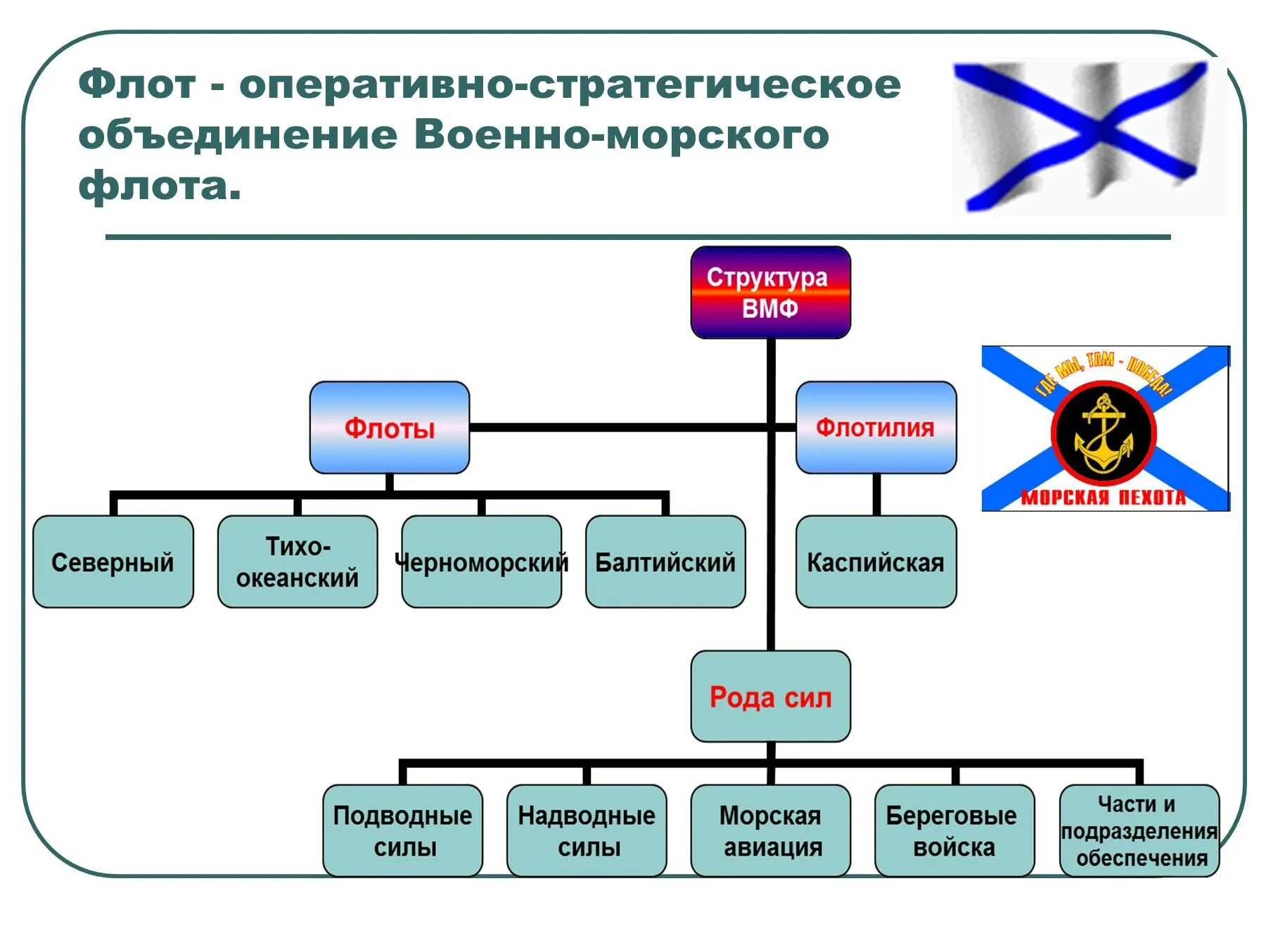 Главная военная организация. Организационно штатная структура ВМФ России. Организационная структура военно морского флота вс РФ. Организационная структура ВМФ вс РФ. Организационно штатная структура в ВМФ РФ.