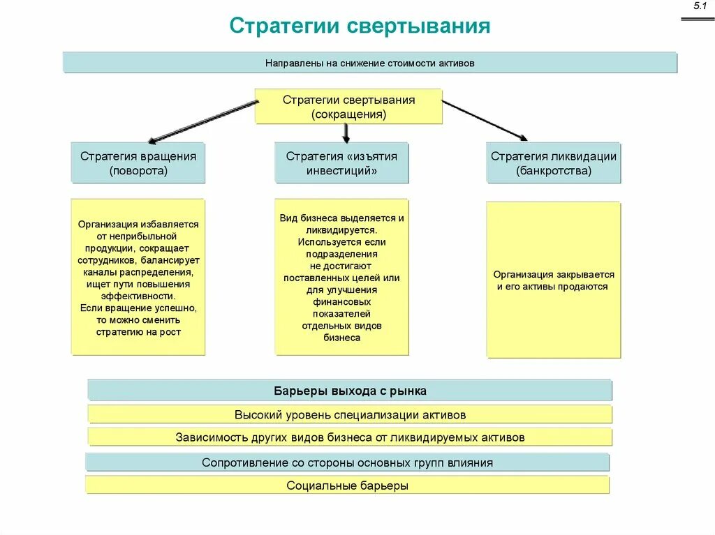 Стратегия управления активами. Стратегия внутреннего роста. Стратегия изъятия. Стратегия специализации. Стратегия внешнего роста.