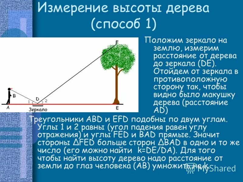 зеркало дорожное сферическое схема установки. измеритель расстояния от наблюдателя. измерение высоты дерева. измеритель расстояния от наблюдателя. измеритель расстояния от наблюдателя.