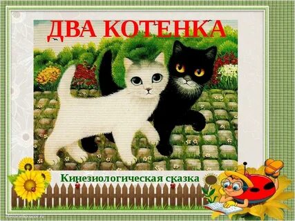 Песенка 2 кота