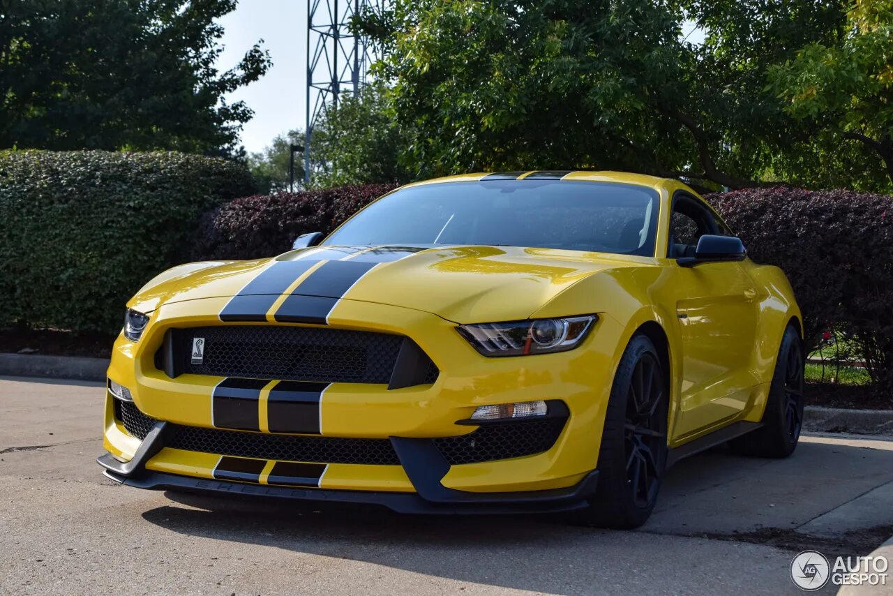 форд мустанг шелби gt 500 желтый. Ford mustang gt желтый. форд мустанг шелби желтый. форд мустанг 2007 желтый. Ford mustang желтый.
