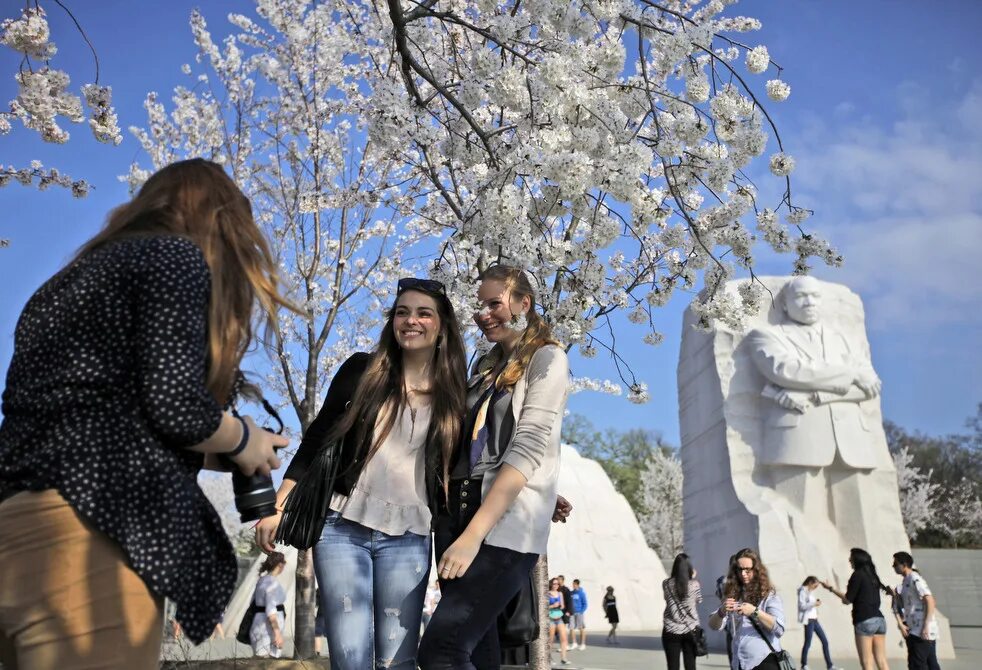 Весенняя молодежная. Фестиваль цветущей вишни в Вашингтоне. Молодежь весной. Фестиваль цветущей вишни в Америке.