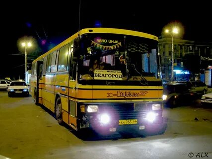 Ан 31
