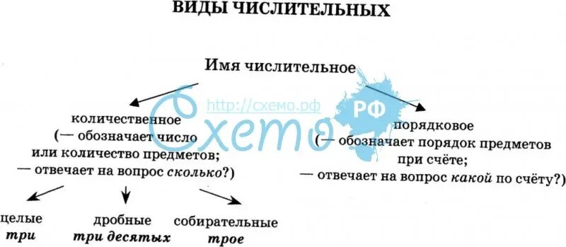 Числительное виды. Разновидности числительных. Числительные классификация. Классификация числительных по значению.