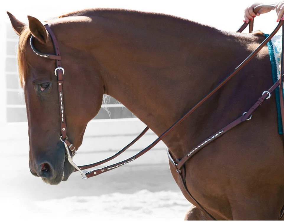 уздечка гермида. делать уздечку. амуниция для хоббихорса. уздечка киффер. недоуздок фуганза.