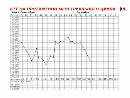 Цикл 45 дней