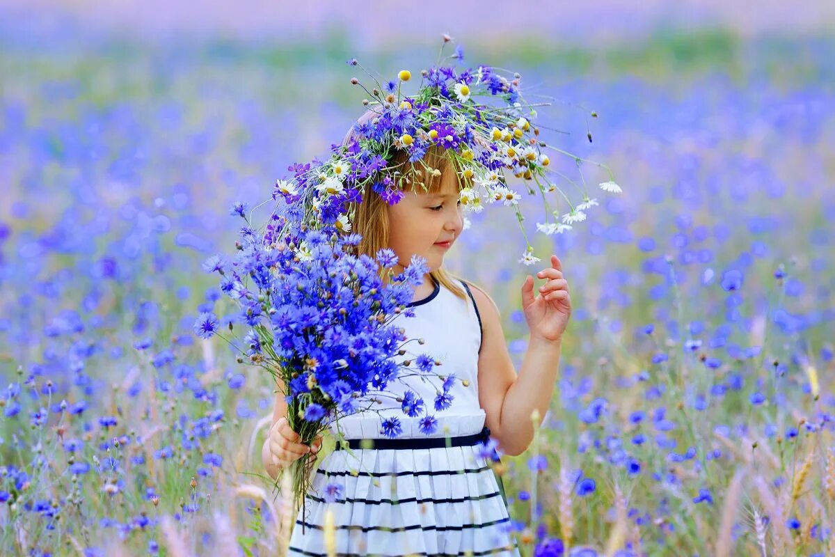 васильки в поле песня слушать. девушка с васильками. васильки ушинский. васильки в поле. беларусь васильки.