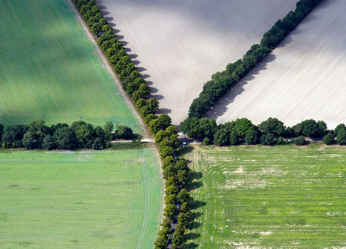 климат узкой полосы