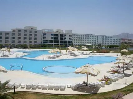 Raouf international