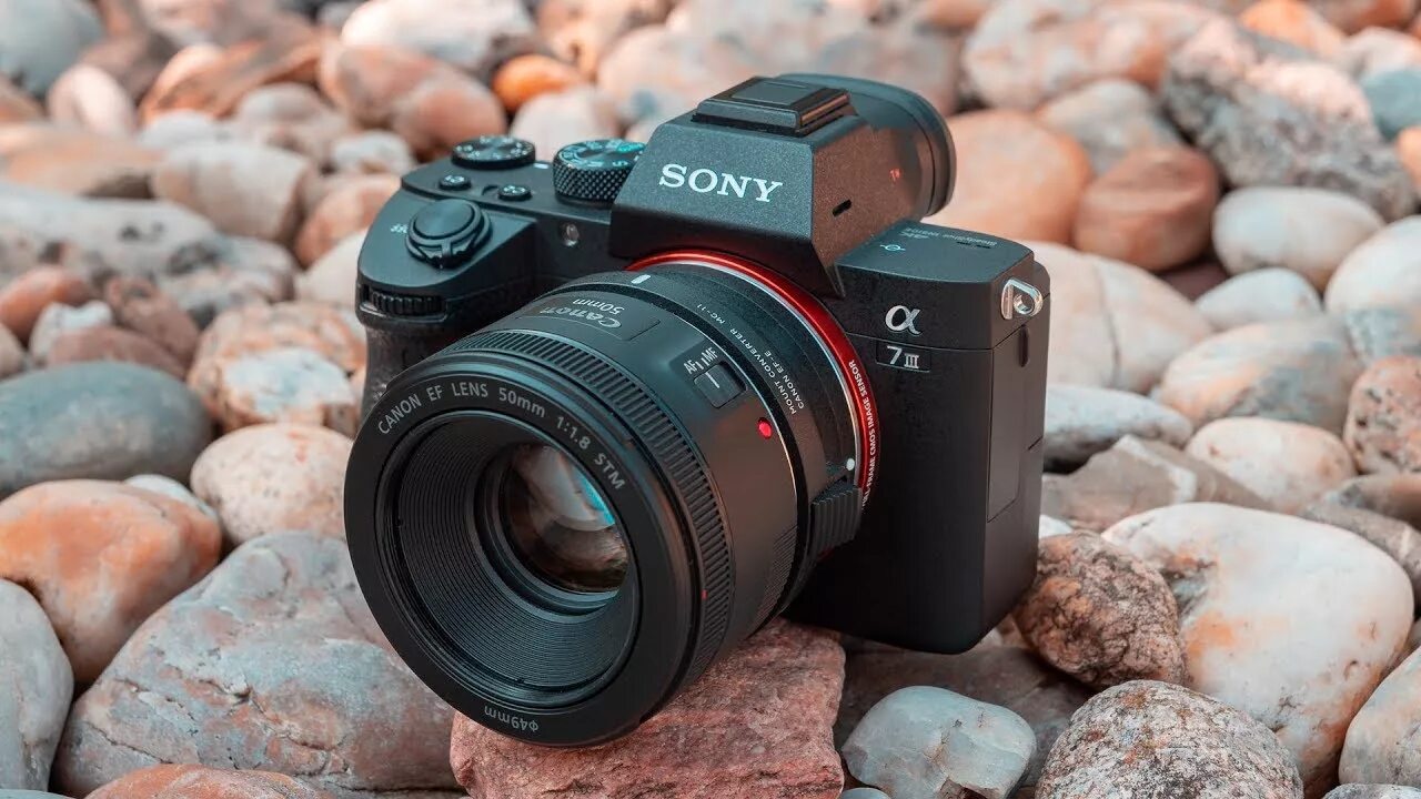 Meike 50mm 1:1. Canon 50 1. 8. 7 1 8 mm. Sony 50 mm 1.