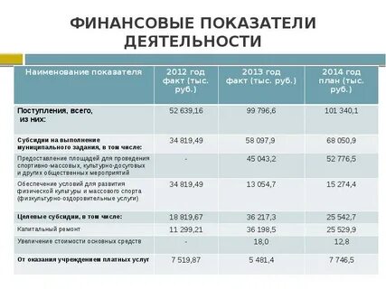 Показатели бюджетной эффективности проекта