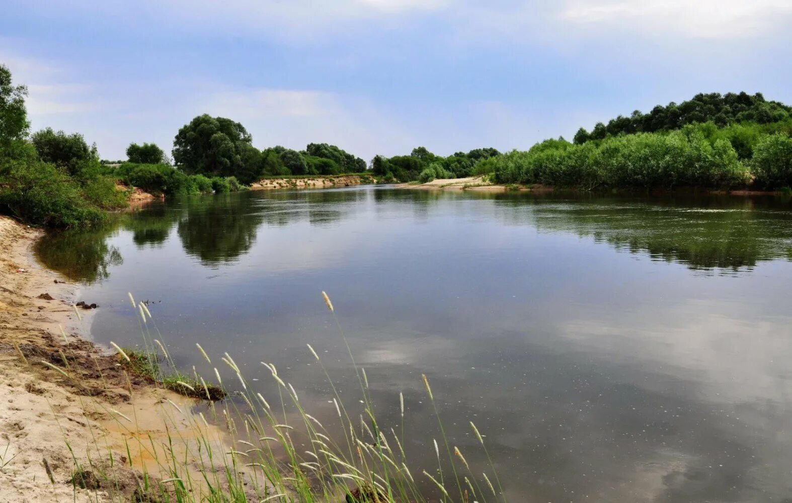 Вода в реке сура. Река Мокша Краснослободск. Река Мокша в Темникове. Река Мокша в Мордовии. Краснослободск Мордовия Мокша.