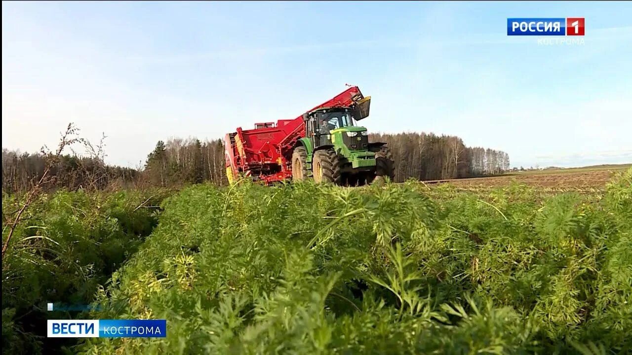 Недобор урожая