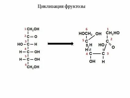 Расщепление фруктозы