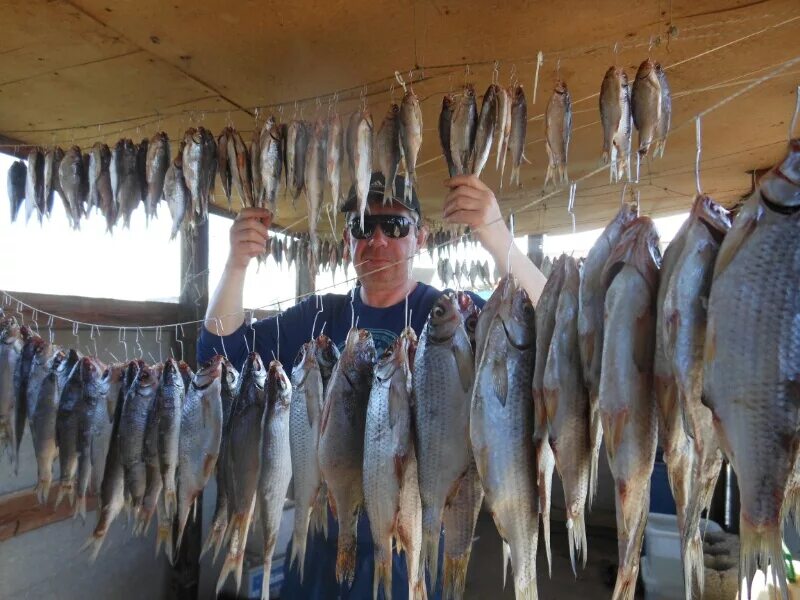 рыбалка в астрахани село селитренное. база ахтуба рыбалка 2022. харабали астраханская область погода 3 дня. рыбалка на судака в астрахани. алан харабали.