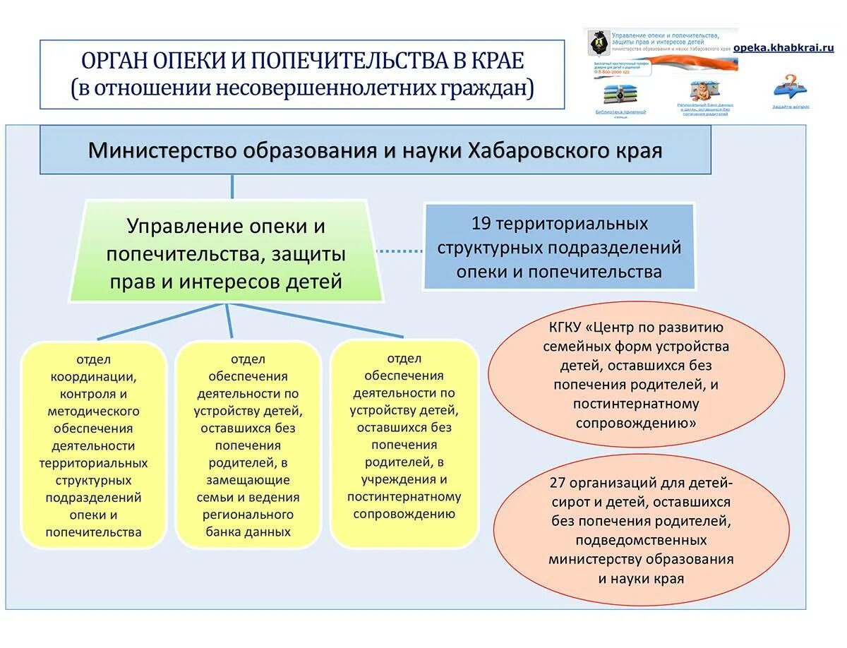 Орган опеки и попечительства в лице. Структура органов опеки в рф. структура органов опеки и попечительства (иерархия). защита прав и интересов несовершеннолетних детей. правовые основы деятельности органов опеки и попечительства.