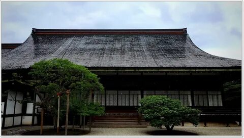 A dog lives in the imperial palace