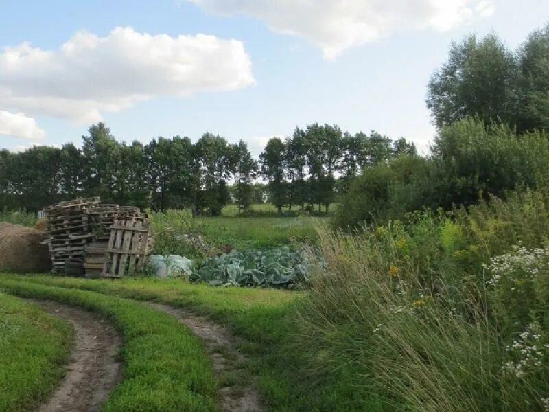 Дачи орловской области. Орловская область, Орловский район, д. Болотовские дворы. Деревня Болотовские дворы. Болотовские дворы Орел. Деревня Болотовские дворы Орловской области.