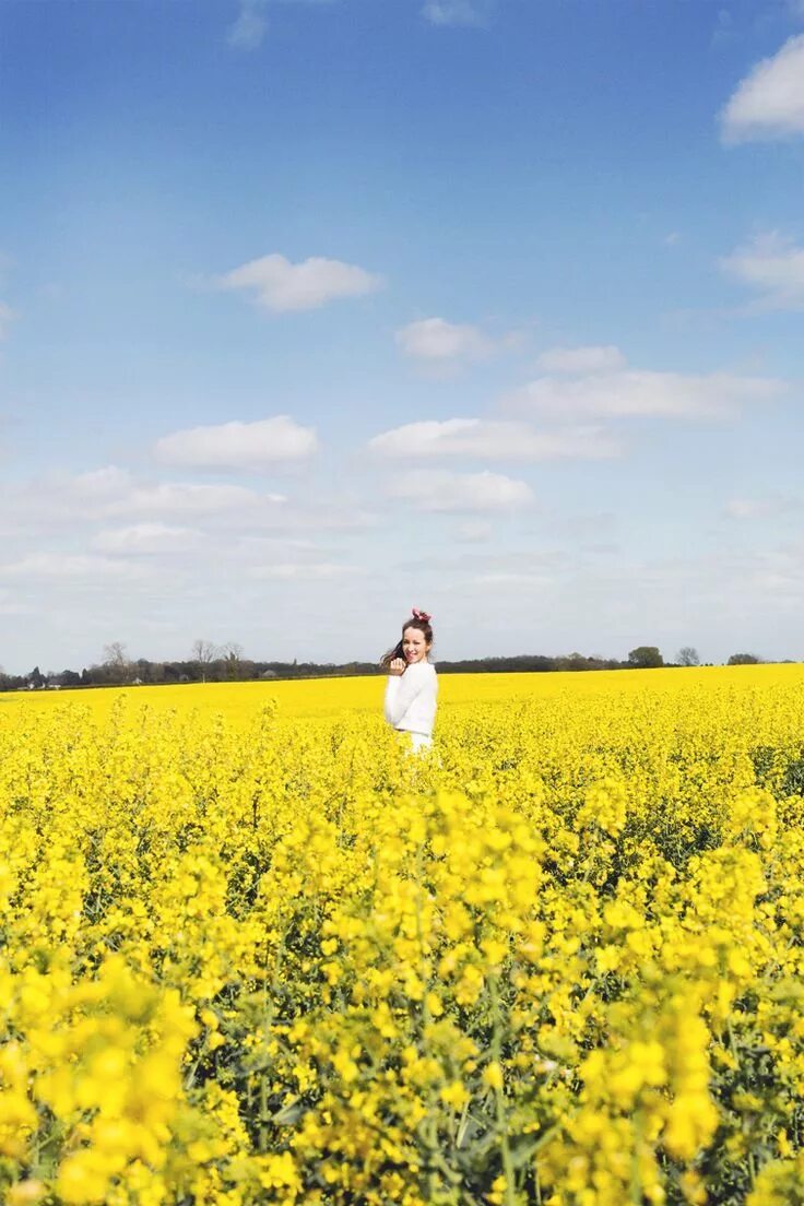 Download wallpaper field, summer, girl, panorama, section girls in resolution 12