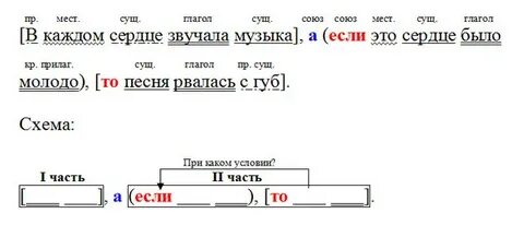 Быстро наступает вечер в густом лесу