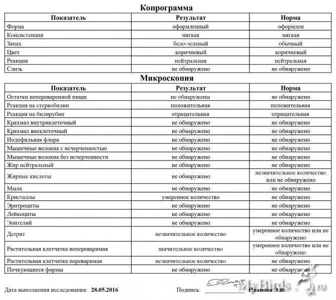 Копрограмма здорового человека норма описание. Копрограмма кала норма у детей до года. Разбор копрограммы грудничка. Копрограмма норма заключение. Копрограмма в год