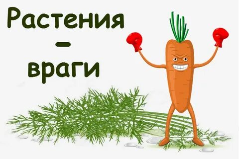 Давай растения включи