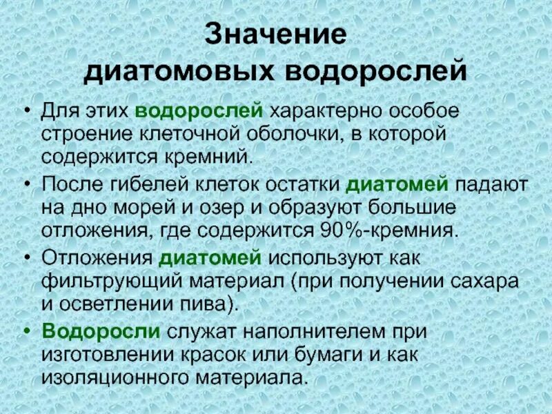 Таблица значений водорослей. Роль диатомовых водорослей в природе. Диатомовые водоросли значение. Роль диатомовых водорослей в жизни человека. Диатомовые водоросли общая характеристика.