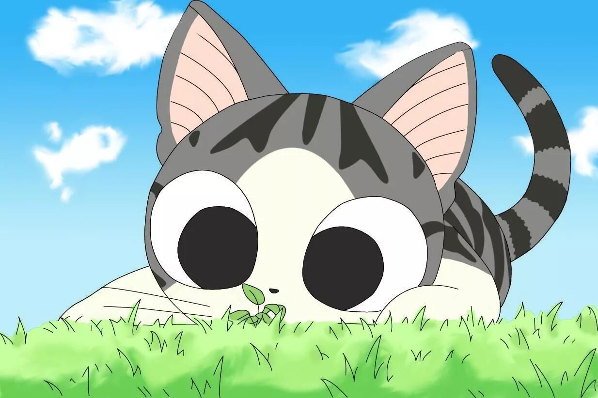 Chi animation. Аниме котик чии. чии милый дом чии. милый дом чии котенок. милый дом чии chi`s sweet home.