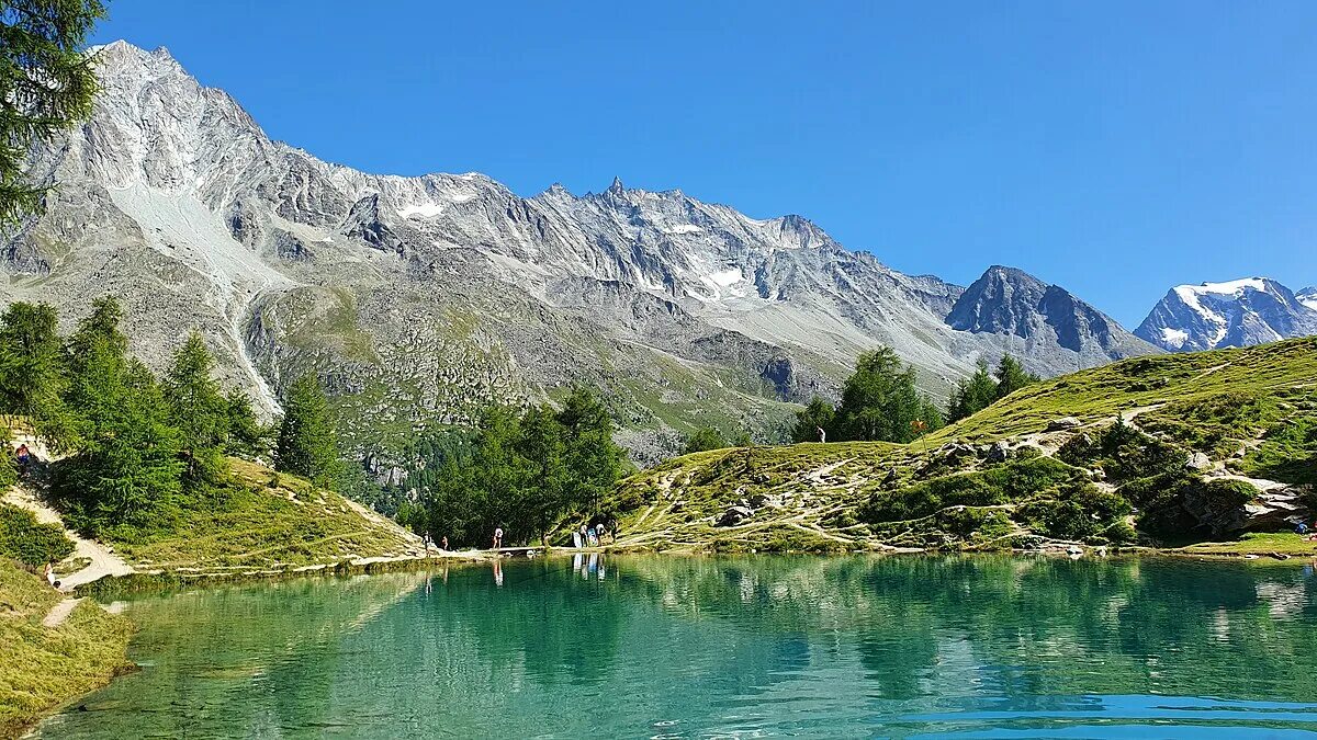 Lac версии
