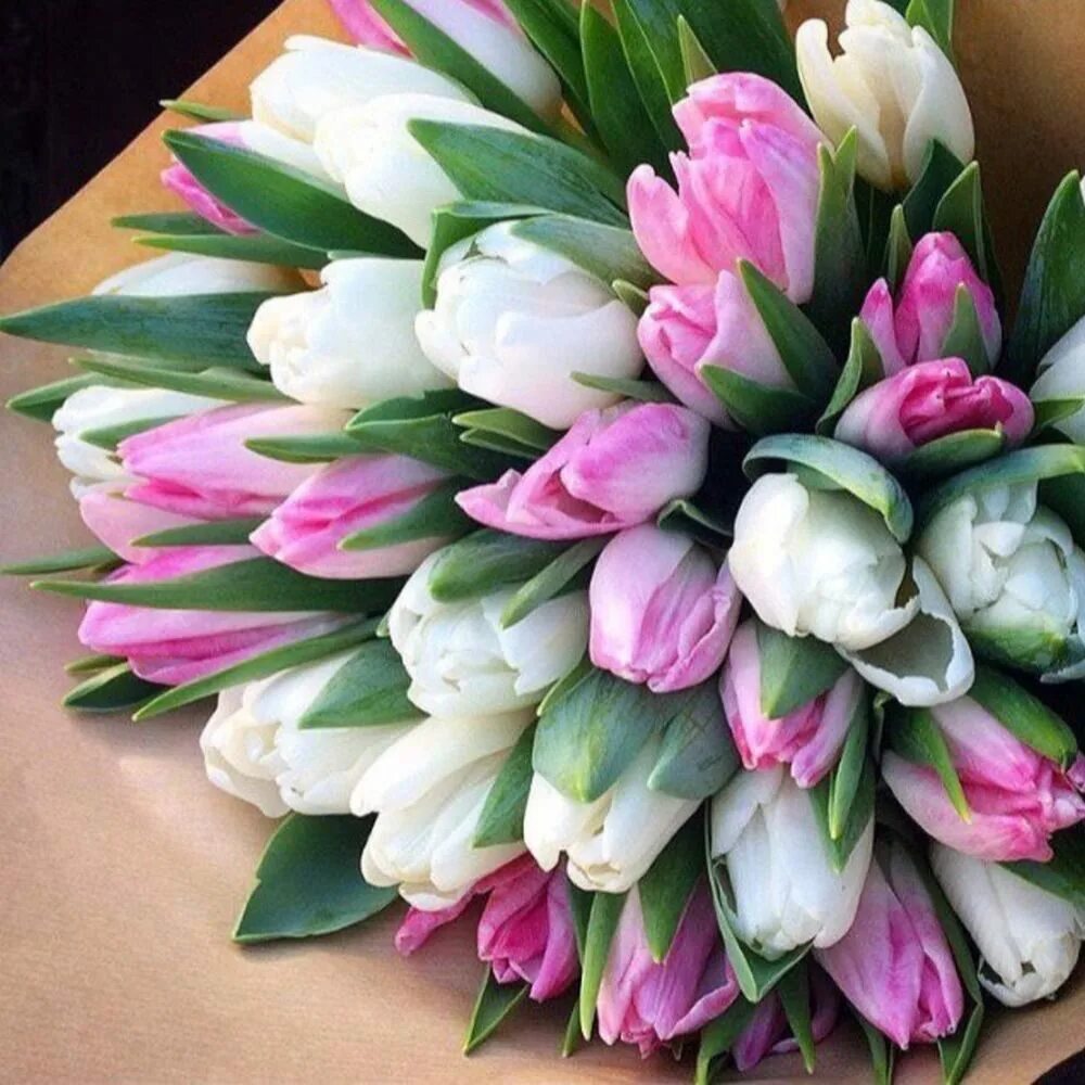 тюльпаны реальный букет. букет 51 тюльпан микс. огромный букет тюльпанов. тюльпан фрост букет. букеты тюльпанов реальное.