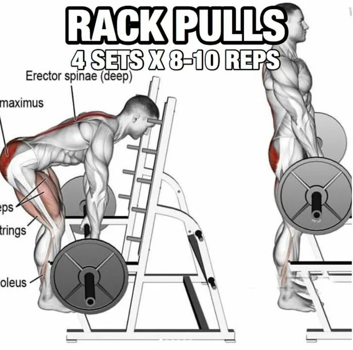 Rack Pulls. Rack Pulls мышцы. Rack упражнение. Rear delt упражнение.