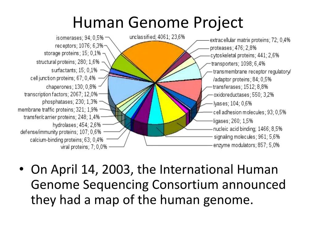 Human Genome. The Genome Project. International Human Genome sequencing Consortium. Human Genome sequencing. Human result