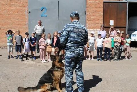 Бугуруслан новости 56