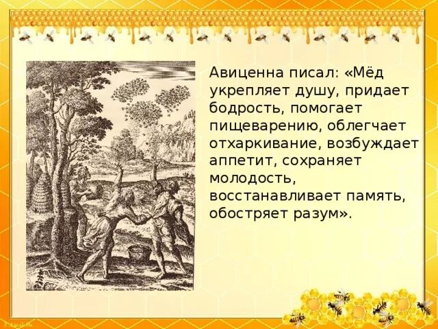 Авиценна цитаты. Высказывания про мед. цитаты про мед. высказывание про мед великих. авиценна писал мед укрепляет душу.