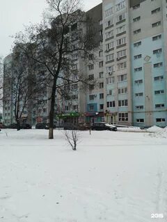 Партизан 9