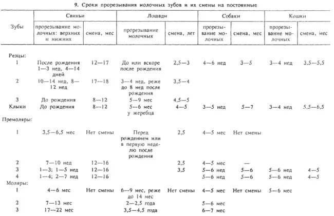 Формула количества молочных зубов. Сроки прорезывания молочных и постоянных зубов. Сроки прорезывания и смены зубов. Сроки прорезывания молочных зубов и постоянных зубов. Сроки прорезывания постоянных.
