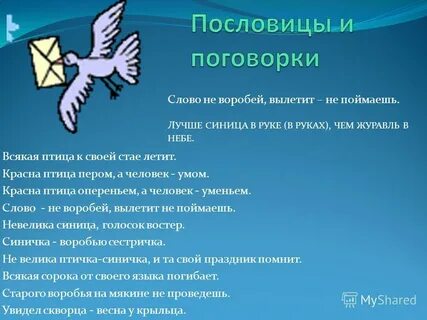 Пословица сила птицы в крыльях