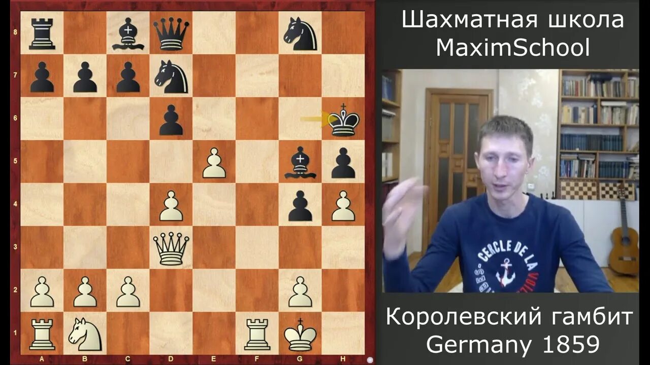 Гамбит в шахматах это. Королевский гамбит шахматист. шахматы партия королевский гамбит. королевский гамбит в шахматах за белых. королевский гамбит книги шахматы.