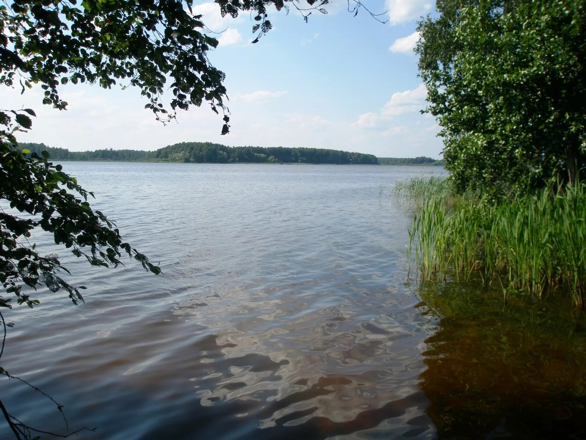 Иваньковское водохранилище тверская область. Остров уходово иваньковское водохранилище. Иваньковское водохранилище острова. Московское море иваньковское водохранилище. Остров могильный на иваньковском.