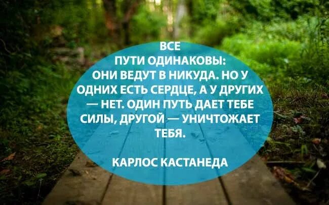 Цитаты никуда. Все пути ведут в никуда. Все пути одинаковы. Карлос Кастанеда все пути ведут в никуда. Все пути одинаковы они ведут в никуда.