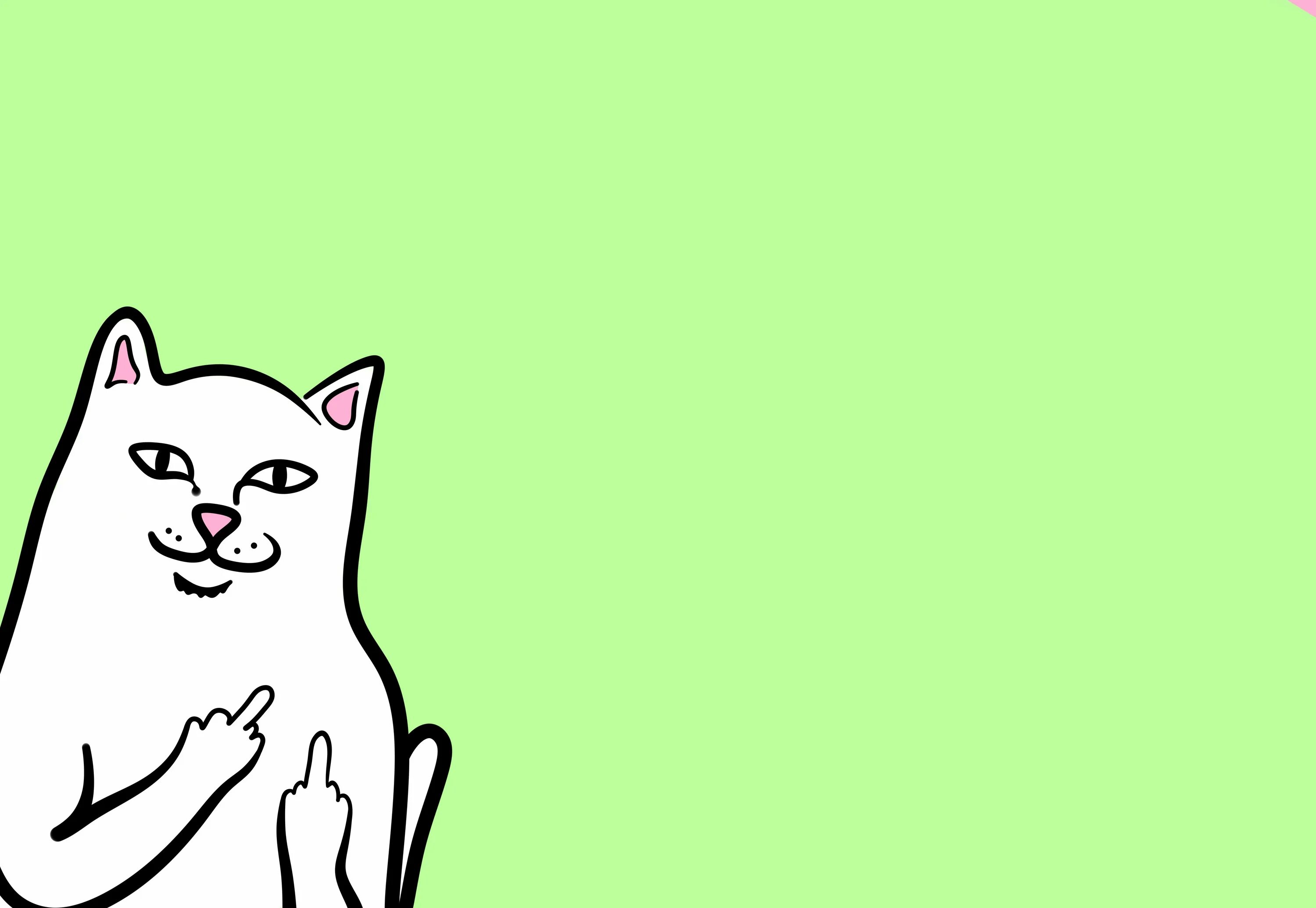 Обои без матов. Кот Минимализм. Обои с нарисованными котиками. Коты на зелёном фоне. Обои с факом.