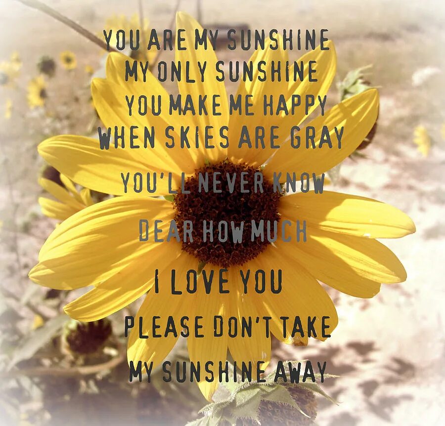 Фф you are my warmth. You are my Sunshine. You my Sunshine Постер. You're my Sunshine my only Sunshine. Only you my Sunshine.