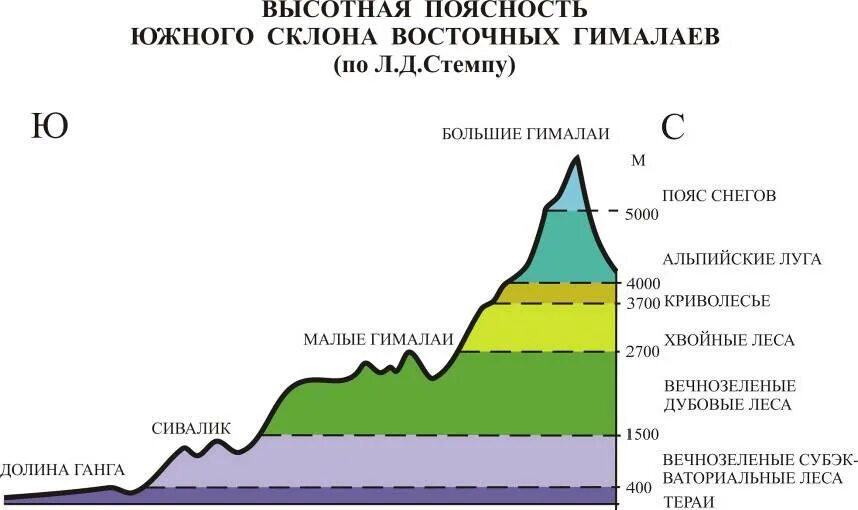 Уральские горы какая природная зона. Высотная поясность Гималаев схема. Высотная поясность Гималаев. Высотная поясность горы Аконкагуа. Высотная поясность Алтая, Кавказа, Урала.