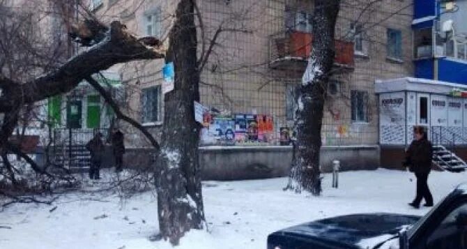 Прогноз луганск. Фото луганска сейчас. луганск сегодня. погода в луганске 29.03.2025.