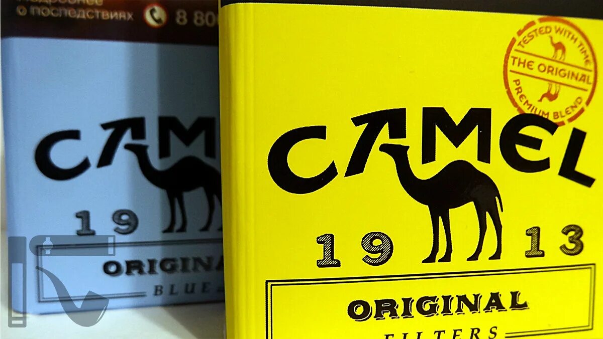 Кэмел 1913 желтый. Сигареты кэмел желтый 2023. Кэмел компакт оригинал. Сигареты кэмел оригинал желтый (Camel Original Filters).
