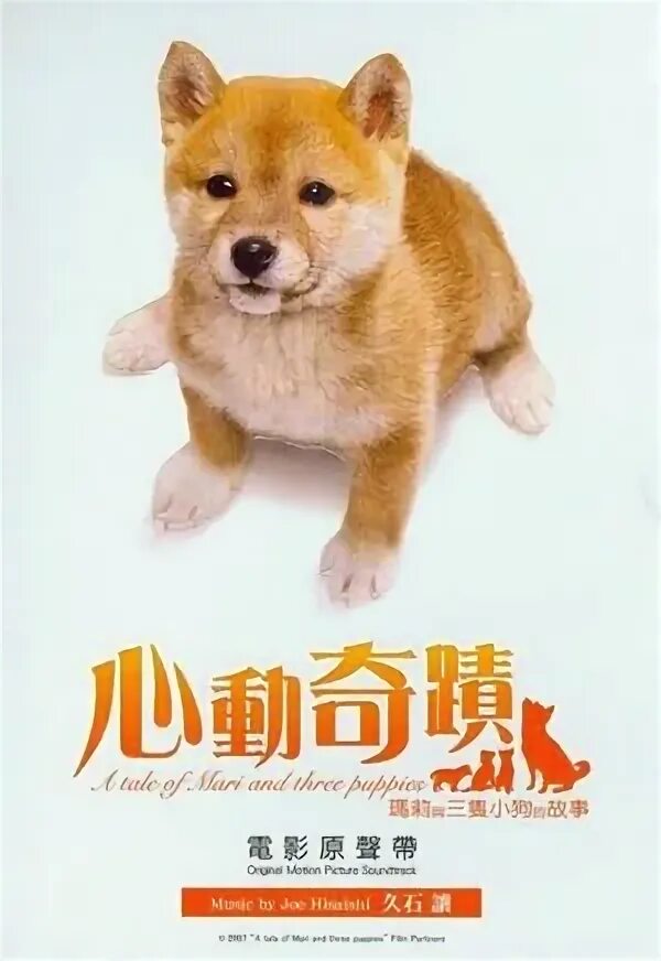 история мари и трех щенков фильм 2007. история мари и трех щенков 2007. мари и 3 щенка. щенок мари пути. мари и трое щенков.