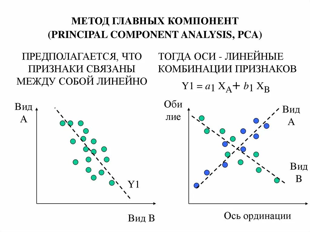 Метод главные